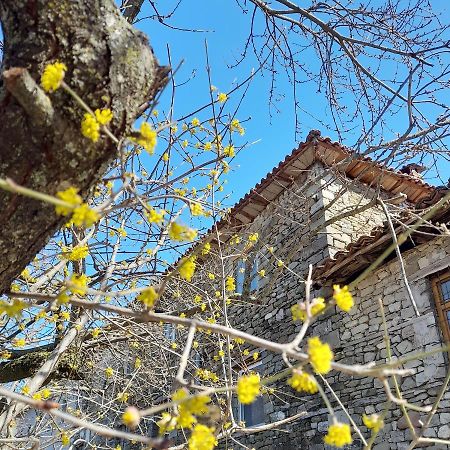 Bujtina Tusha Hotel Priska e Madhe Екстериор снимка