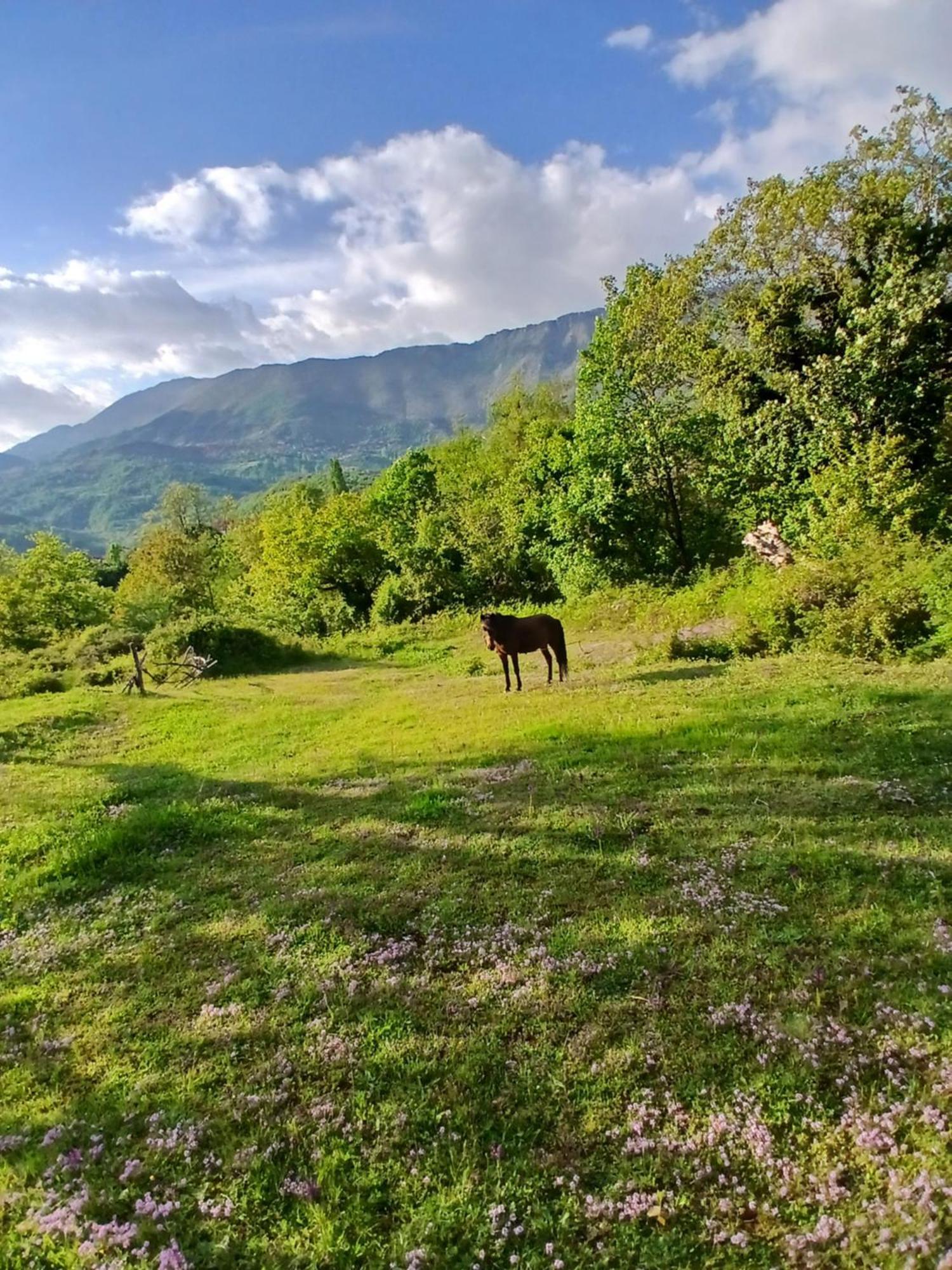 Bujtina Tusha Hotel Priska e Madhe Екстериор снимка