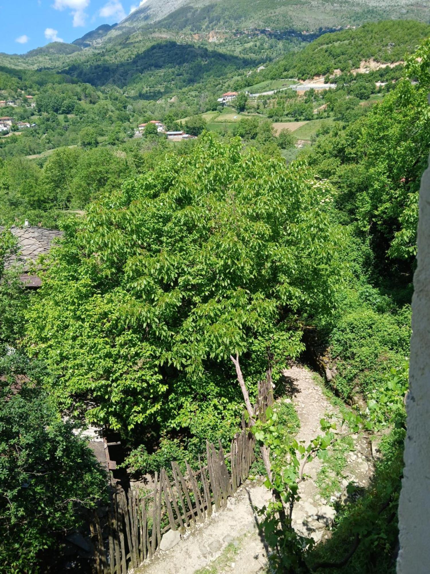 Bujtina Tusha Hotel Priska e Madhe Екстериор снимка